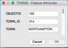 Identify Feature Attributes window